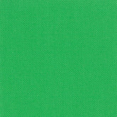 Devonstone Solids 031 ALOE VERA